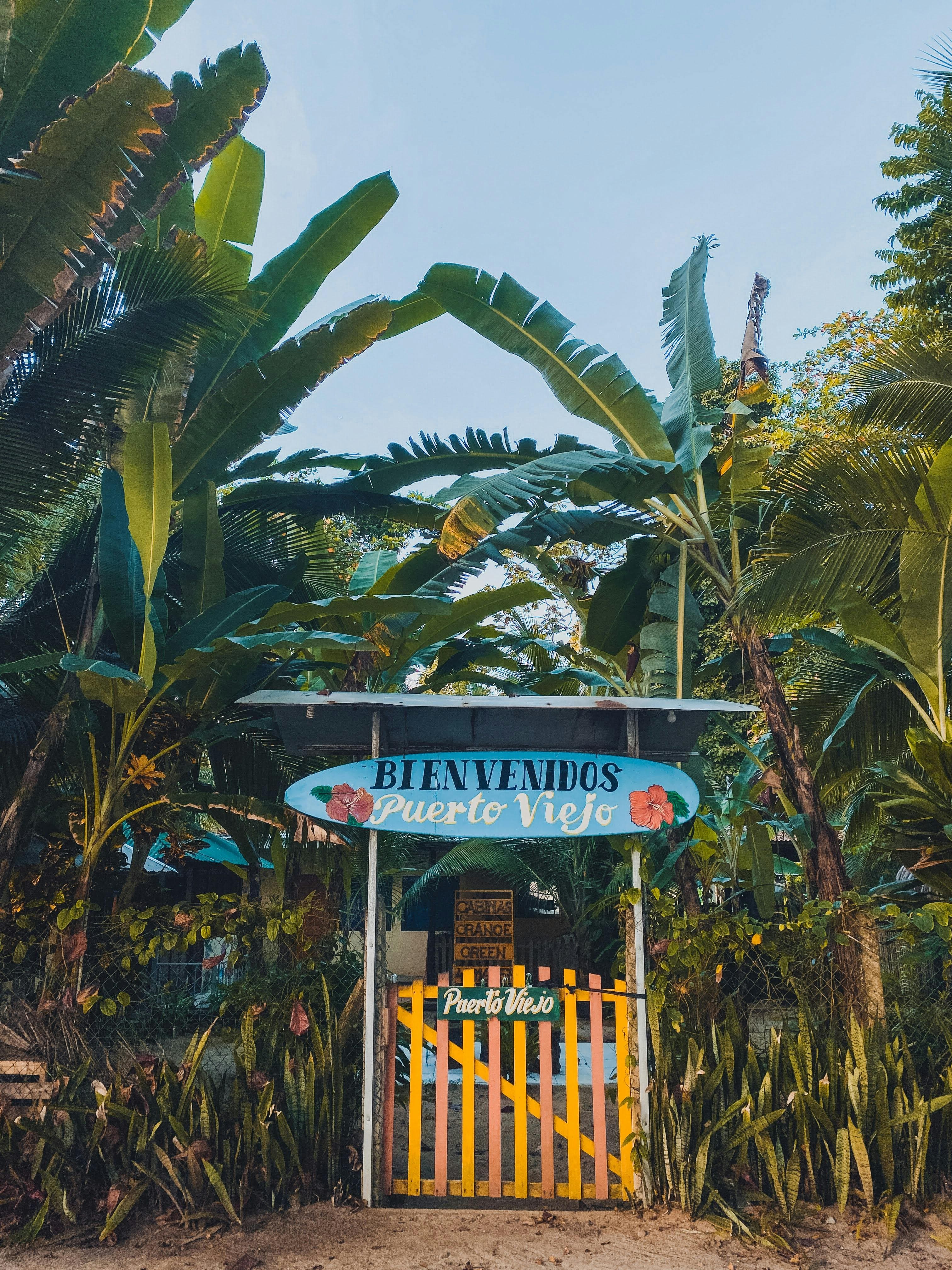 Puerto Viejo photo