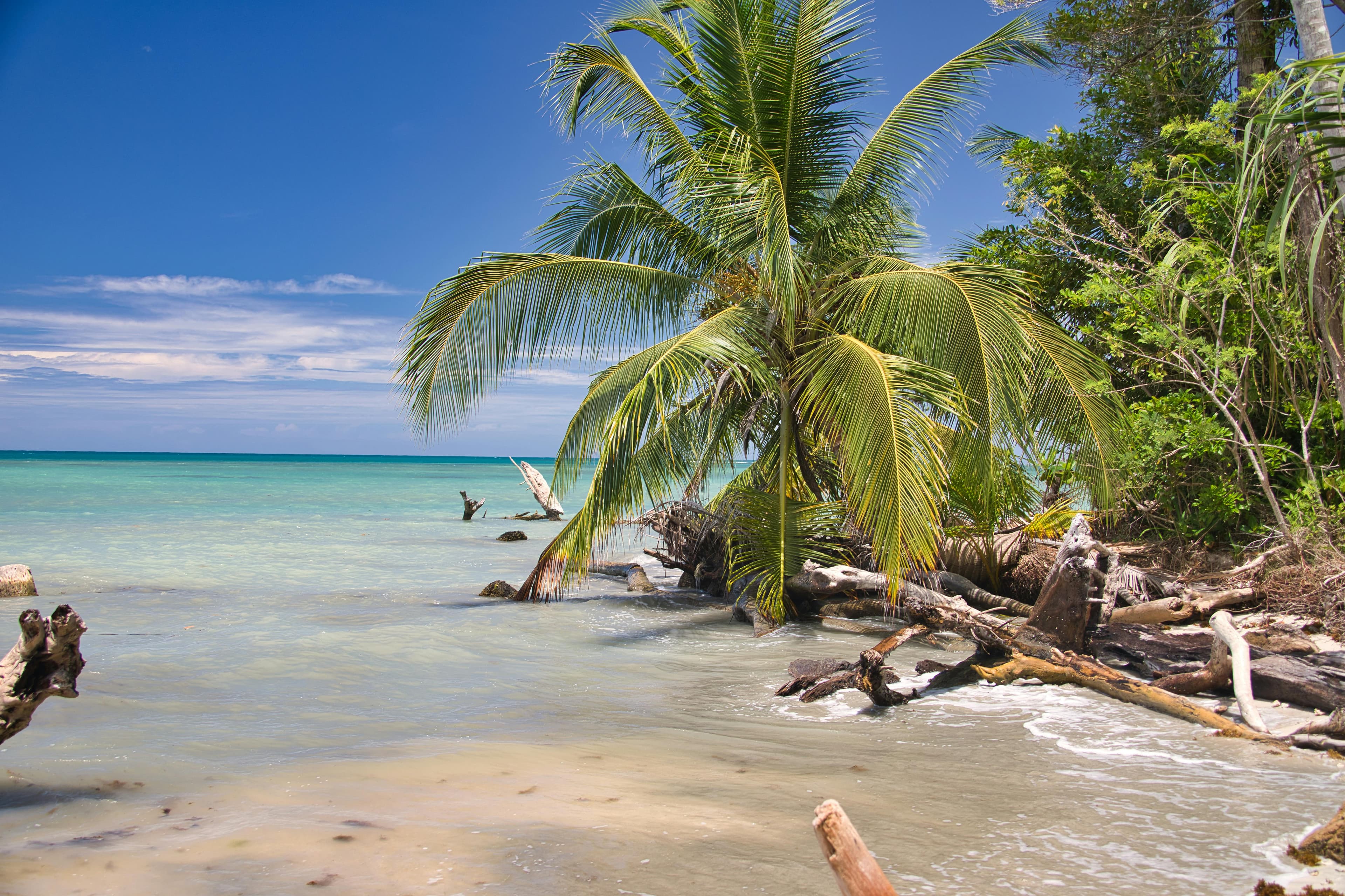 Limón Province photo