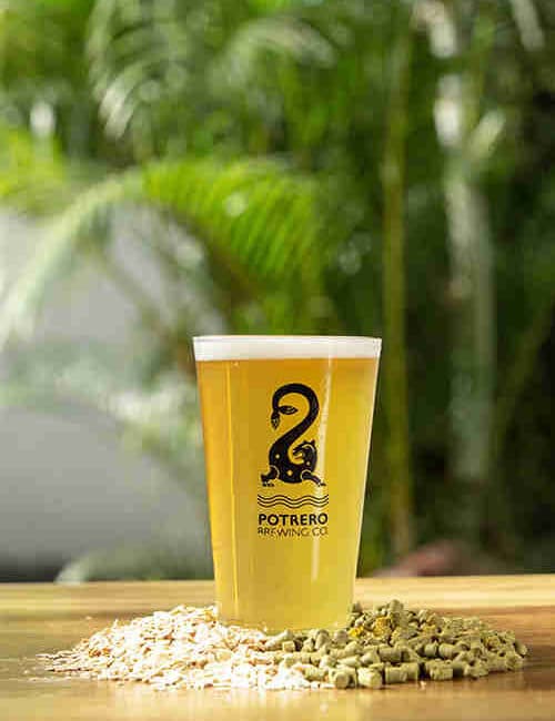 NE IPA photo