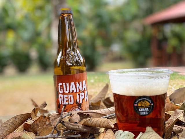 Guana Red IPA photo