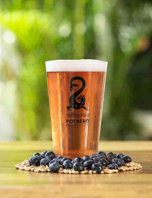 Blueberry Wheat photo