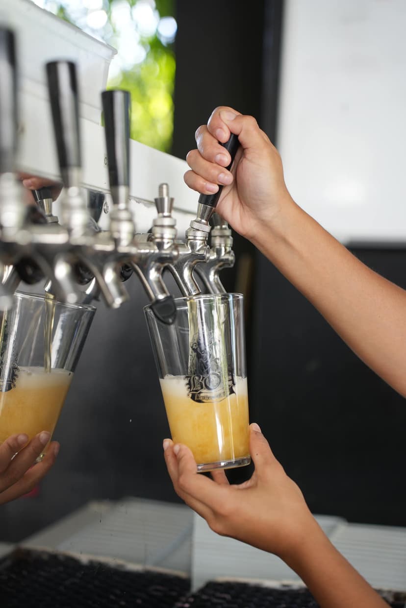 Photo of Brothers Of Ale Brewing in Huacas, Guanacaste Province