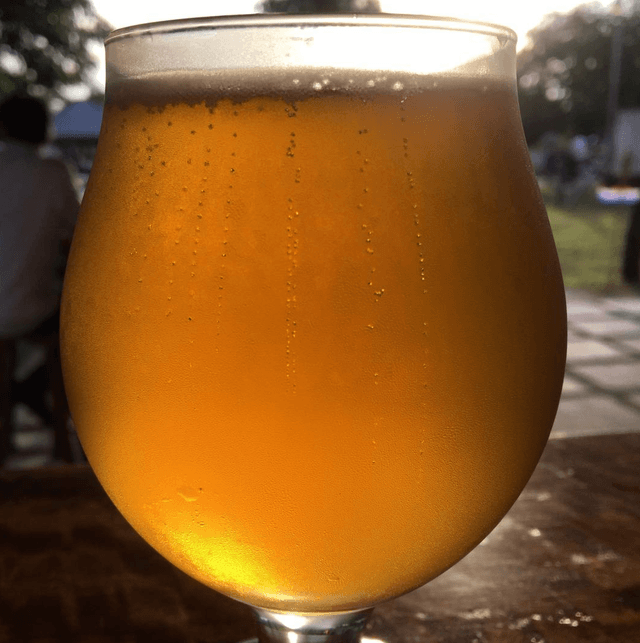 Sun Kiss Ale photo