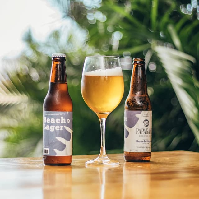 Beach Lager photo