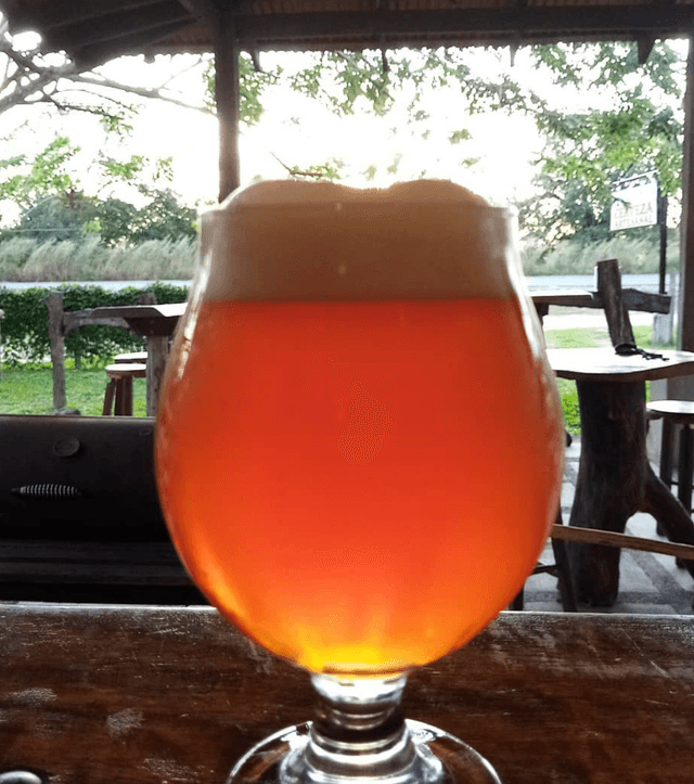 IPA photo