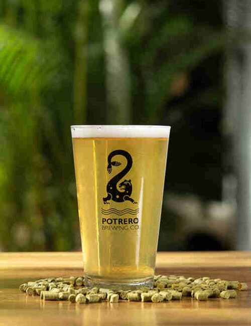 WC IPA photo
