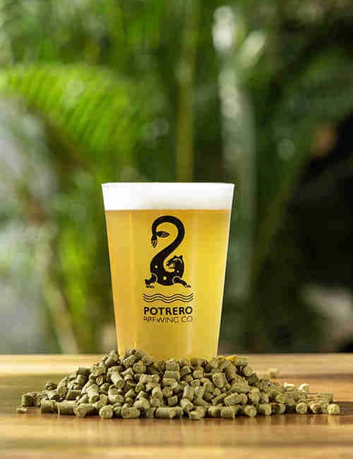 DDH Triple photo