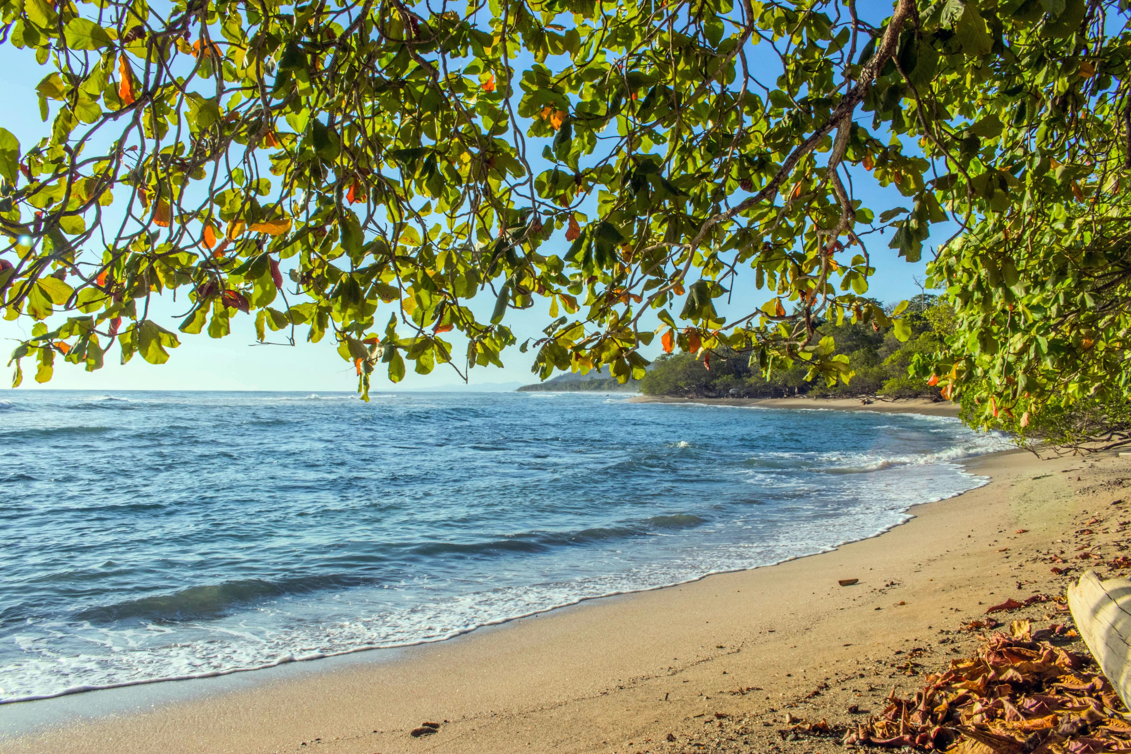 Puntarenas Province photo
